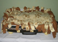 All Paws Dog Bed
